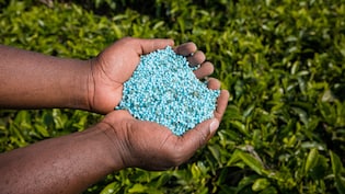 Four Fertiliser Ships Pass Through Hormuz, En Route To Ports In India, Says Chemicals Ministry