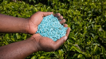 US-Iran War: How India's Chemical Sector Is Likely To Be Impacted—Jefferies Explains