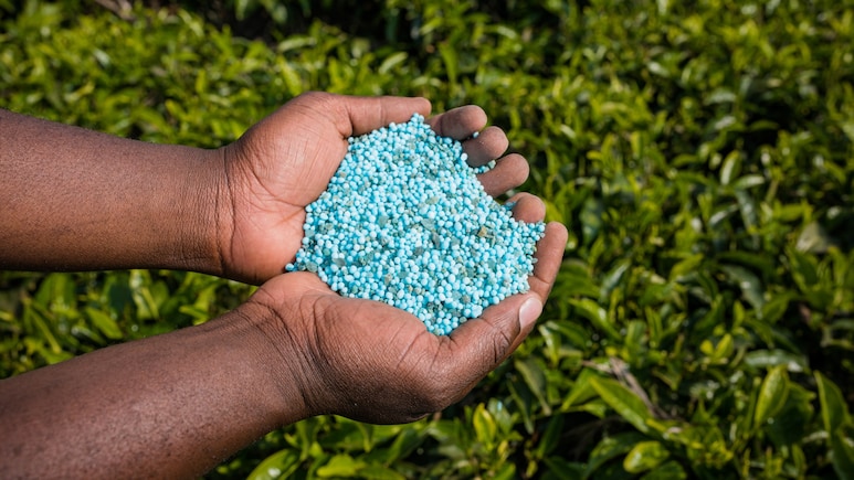 US-Iran War: How India's Chemical Sector Is Likely To Be Impacted&mdash;Jefferies Explains