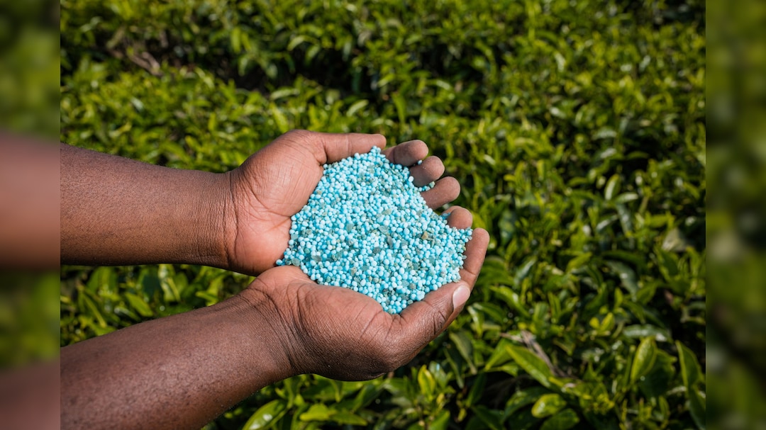 GSP Crop Science IPO: 'Subscribe For Long-Term' Says Anand Rathi — Check Issue Details