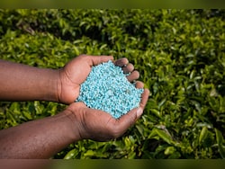 Fertiliser Production To Dip 10-15% If Middle East Issues Persist, Says Crisil Ratings
