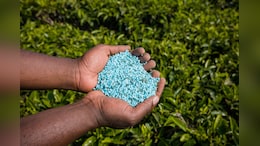 Coromandel Intl, Paradeep Phosphates, And More: Fertiliser Stocks Face El Nino Test As Rabi Season Nears