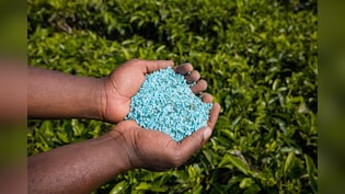 Coromandel Intl, Paradeep Phosphates, And More: Fertiliser Stocks Face El Nino Test As Rabi Season Nears