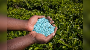 GSP Crop Science IPO: 'Subscribe For Long-Term' Says Anand Rathi &mdash; Check Issue Details