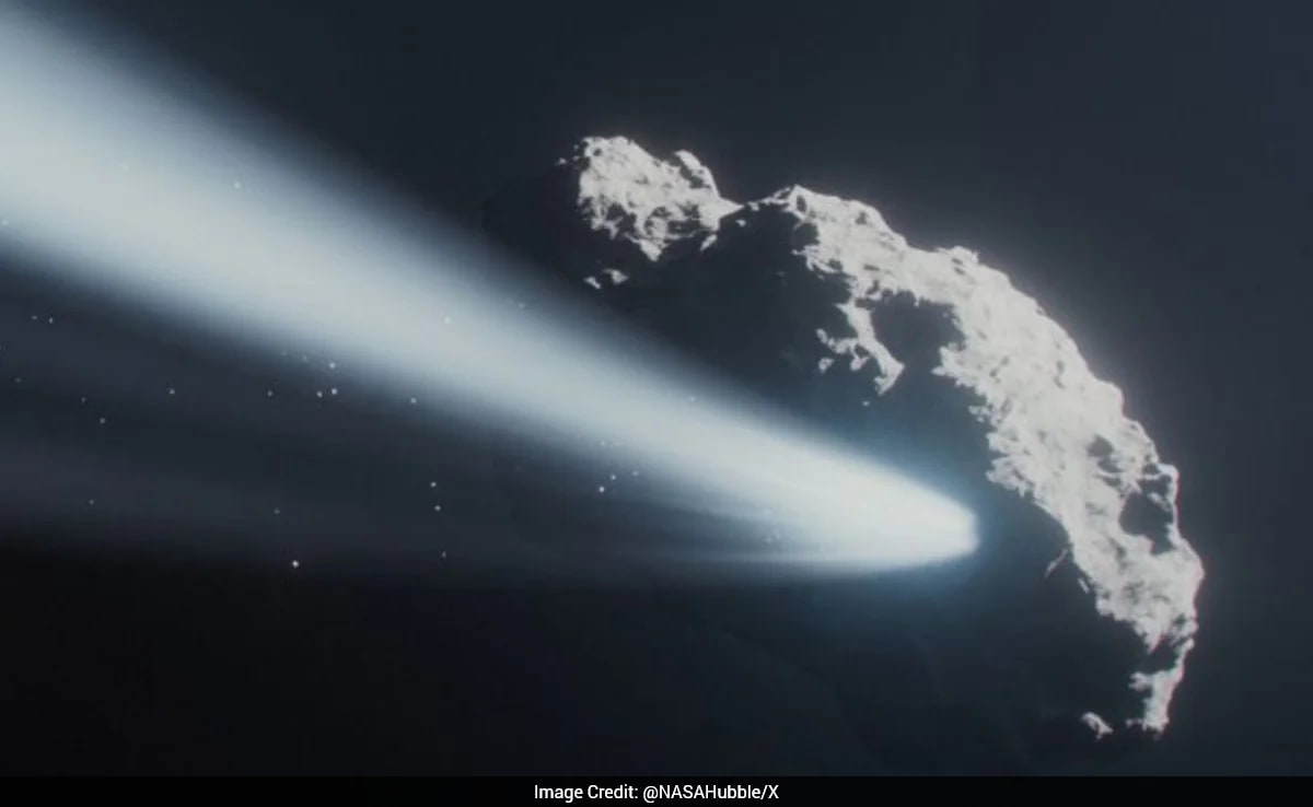 The Art of Baking: From Classic Bread to Artisan Pastries