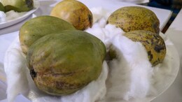 This Extremely Rare Mango From Bengal Sells For Rs 2,000 A Piece. Harsh Goenka Says Even He Can't Afford