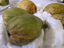 This Extremely Rare Mango From Bengal Sells For Rs 2,000 A Piece. Harsh Goenka Says Even He Can't Afford
