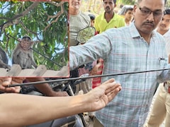 ठाणे में हैवानियत: बंदर की गर्दन के आर-पार हुआ तीर, ICU में भर्ती; बेजुबानों पर कौन कर रहा बार-बार हमला?