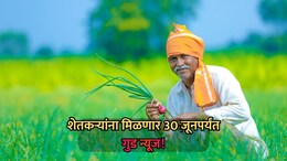 Farmer News: शेतकऱ्यांना मिळणार गुड न्यूज! 30 जूनपर्यंत महायुती सरकार मोठा निर्णय घेणार
