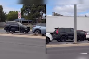 Modified Scorpio N Spotted In Australia Is What Indians Would Love: Video