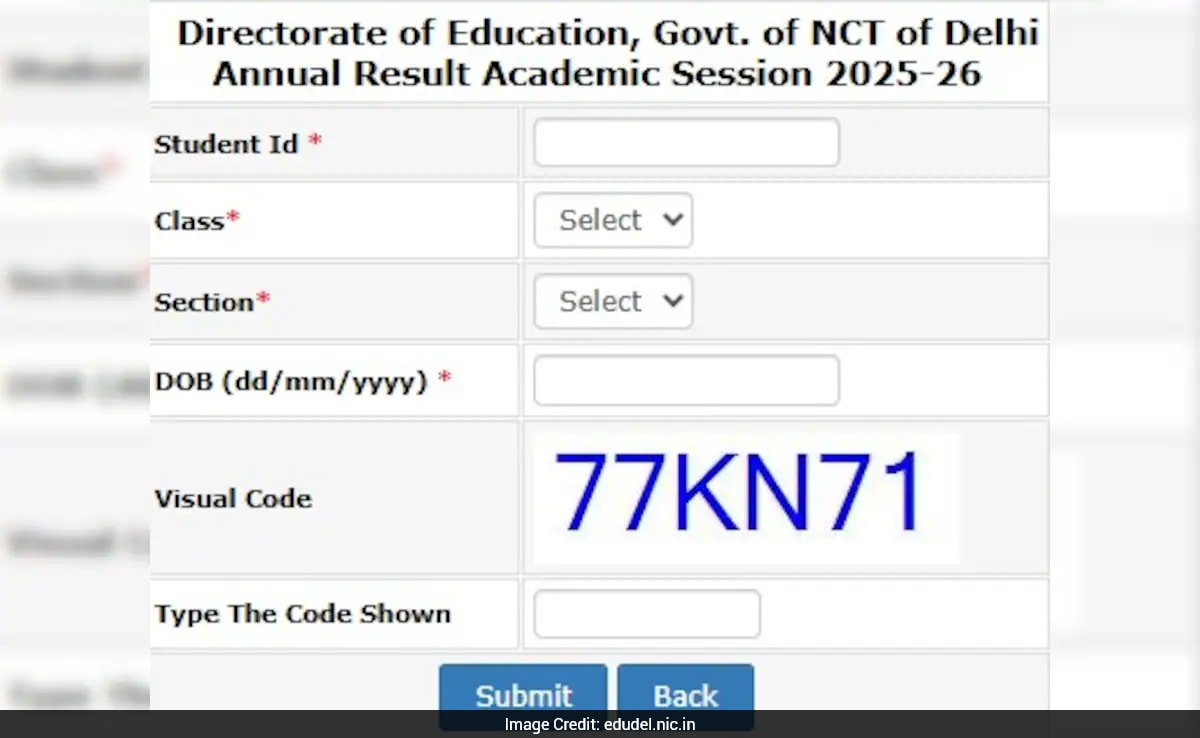 The Art of Baking: From Classic Bread to Artisan Pastries
