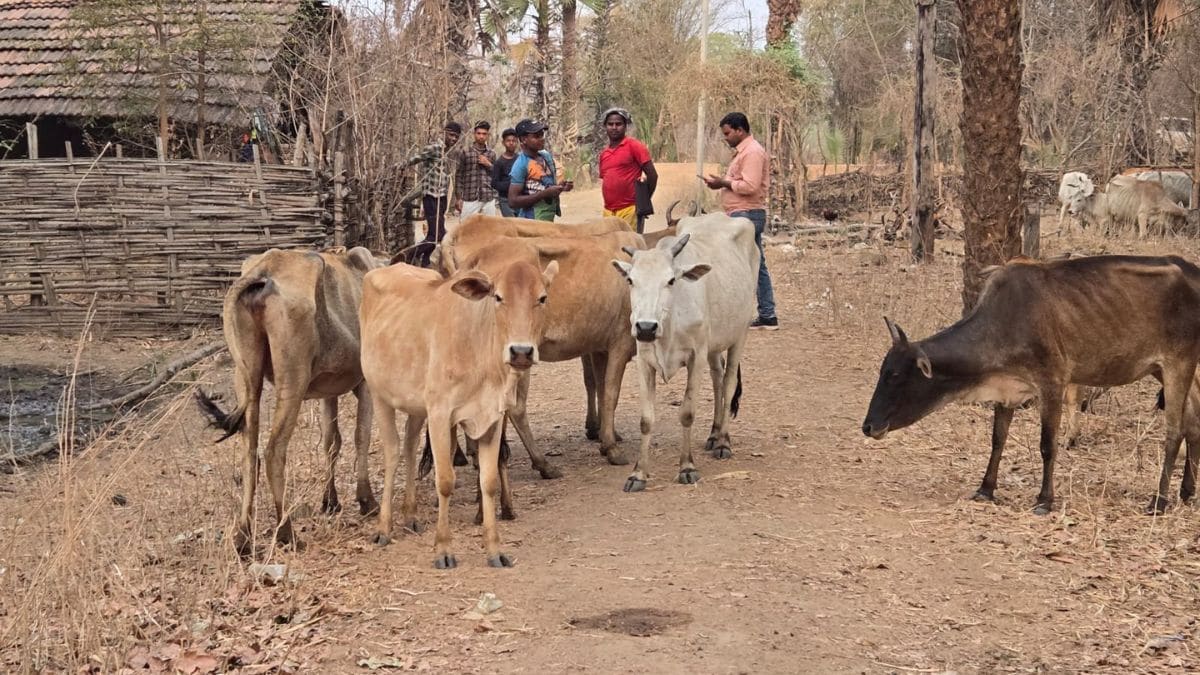 Latest and Breaking News on NDTV Latest and Breaking News on NDTV