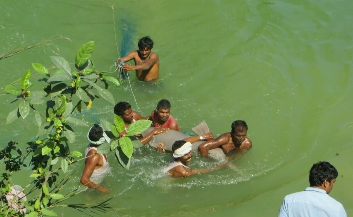  उत्तर प्रदेश के जौनपुर की एक नहर में फंसी गंगा नदी डॉल्फ़िन का रेस्क्यू करते टीएसए फ़ाउंडेशन इंडिया की टीम और स्थानीय लोग. 