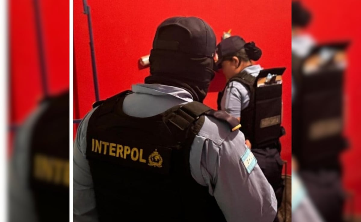 एक्शन मोड में इंटरपोल, 9 देशों में चलाया ऑपरेशन, 65 बच्चों की बचाई जान, 60 आरोपियों को भी गिरफ्तार