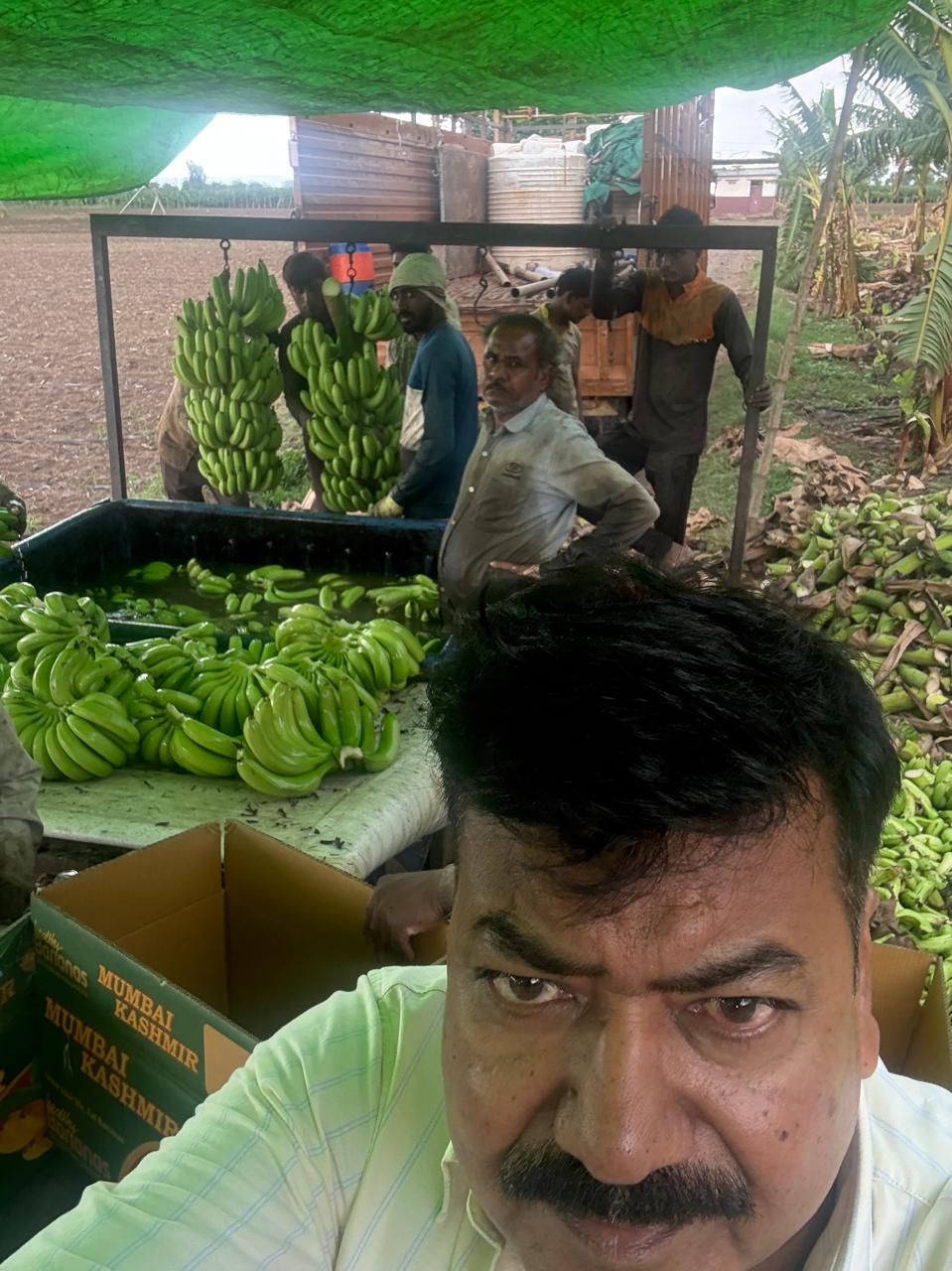 Impact of Iran-Israel-USA War on Banana Exports from Burhanpur India