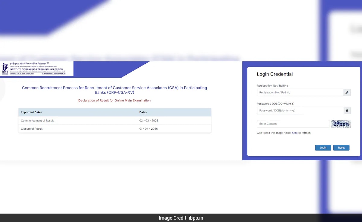 IBPS Clerk Mains 2025 Result: Scorecard Released, Download Directly Here