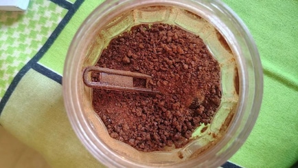 Woman Adds Bournvita To Sabzi By Mistake, Friends Call It 'Confused Curry'