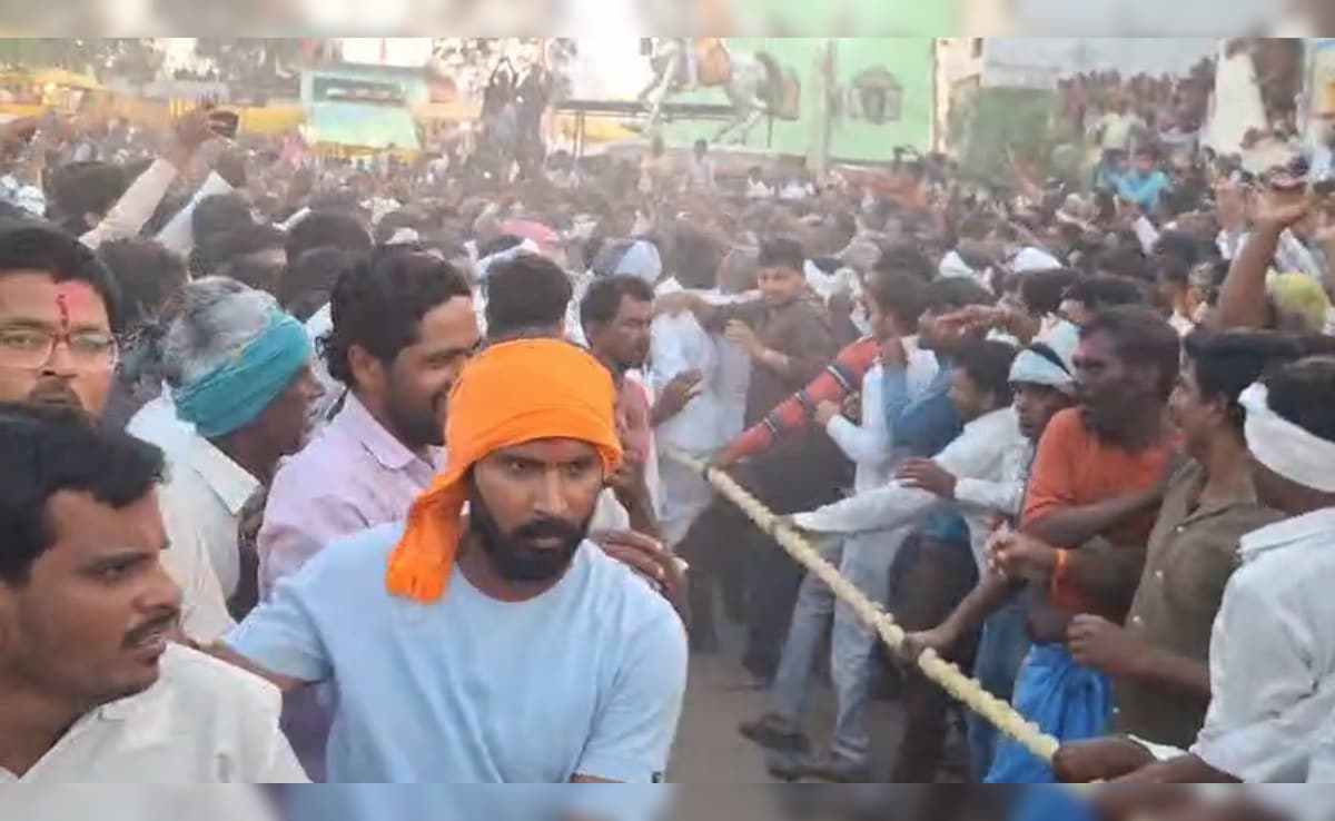 Colours? No. Punches? Yes. Telangana's 450-Year-Old Fist-Fight Holi Tradition