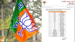Madhya Pradesh BJP: भोपाल भाजपा नगर जिला पदाधिकारियों की घोषणा, कई नए चेहरों को जिम्मेदारी, देखें सूची