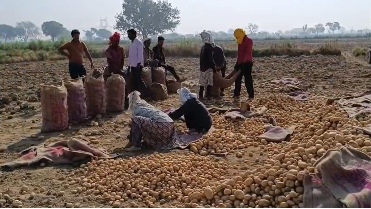 Latest and Breaking News on NDTV