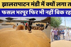 Kotputli News: Farmers को रुला रही Unseasonal Rain | Wheat | Mustard | Rajasthan Top News