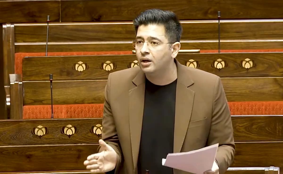 From Balance Sheets to Ballot Boxes: Raghav Chadha’s CA-To-Parliament Story