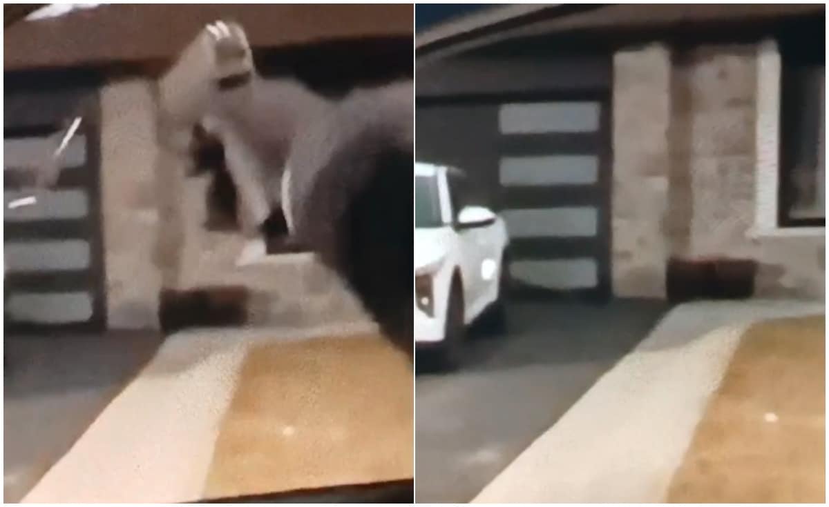 Latest and Breaking News on NDTV Latest and Breaking News on NDTV