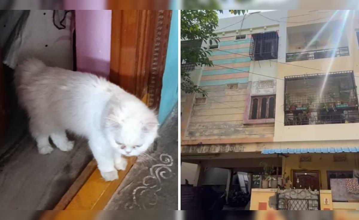 The Art of Baking: From Classic Bread to Artisan Pastries