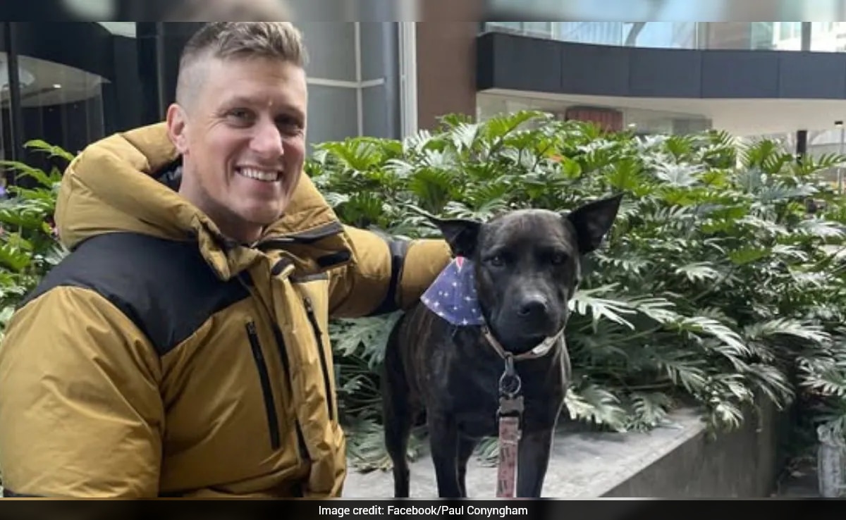 The Art of Baking: From Classic Bread to Artisan Pastries