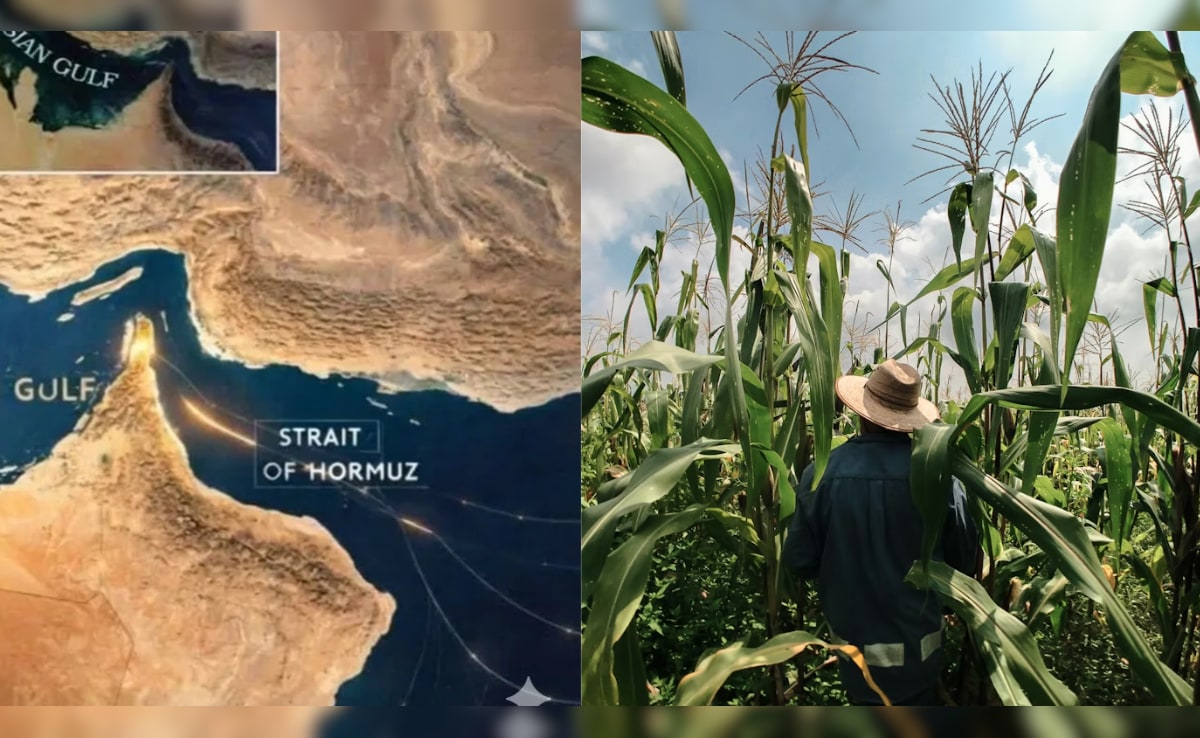 The Art of Baking: From Classic Bread to Artisan Pastries