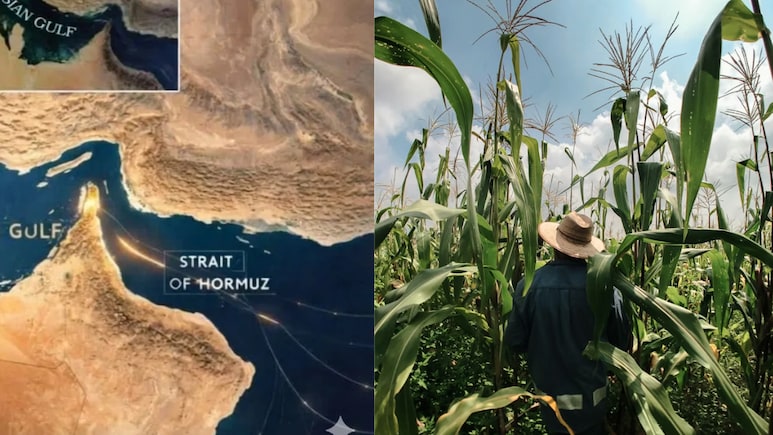 US-Iran War Triggers Global Fertiliser Shortage, Could Make Food Costlier