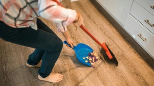 मेड दीदी बन रहीं एंटरप्रेन्योर! महिला का दावा- 40 हजार महीना कमा रहीं हाउस हेल्प, इंटरनेट पर छिड़ी बहस