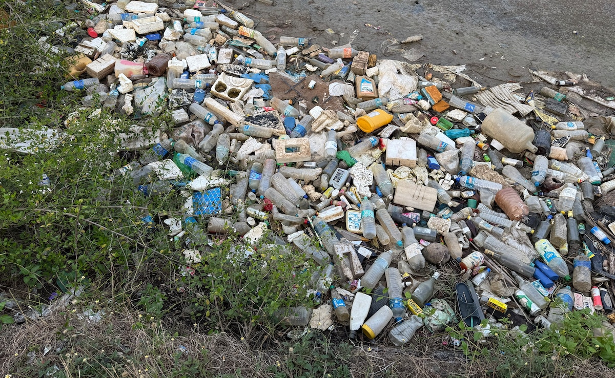 Shocking Visuals From Andaman Show Garbage-Strewn Roads, Internet Reacts: "Truly Heartbreaking"