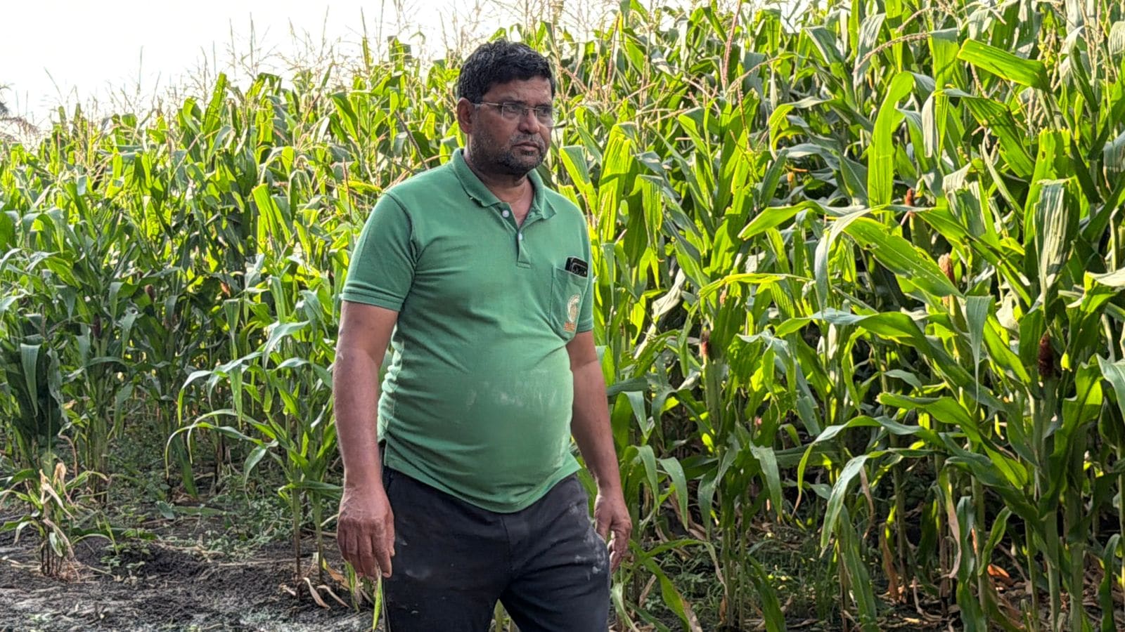 success story poultry farmer oxford invitation india 