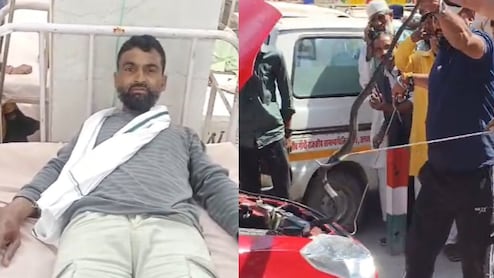 सांप पकड़ने के बाद... कार में ले जा रहे सांप ने युवक को डसा, अस्पताल में चल रहा इलाज