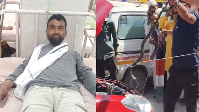 सांप पकड़ने के बाद... कार में ले जा रहे सांप ने युवक को डसा, अस्पताल में चल रहा इलाज
