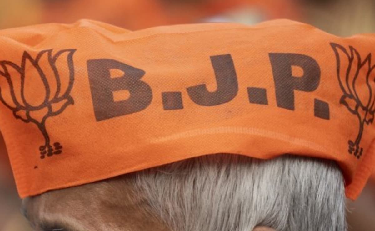 Latest and Breaking News on NDTV Latest and Breaking News on NDTV