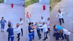 Video: Bengaluru Apartment Residents Thrash Each Other Over Dog Walking