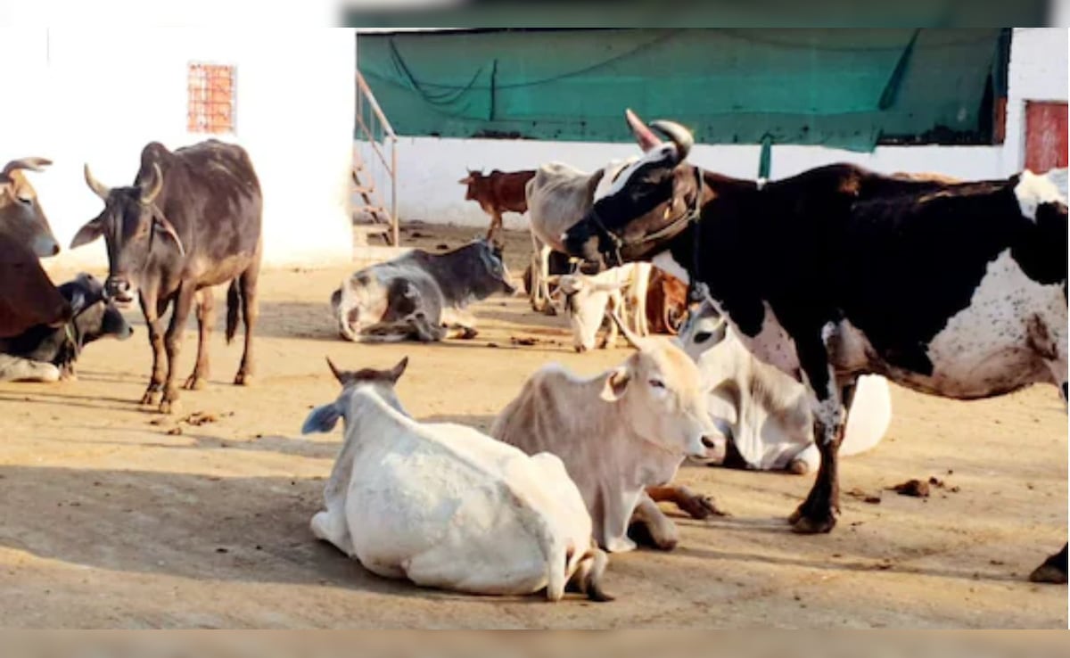 UP में डेयरी खोलने का सुनहरा मौका! सरकार दे रही 50% तक सब्सिडी, जानें कैसे कर सकते हैं आवेदन