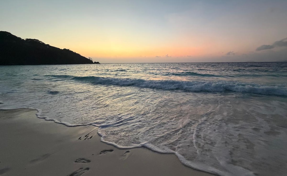 Latest and Breaking News on NDTV