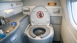 What Really Happens When You Flush The Toilet On A Flight