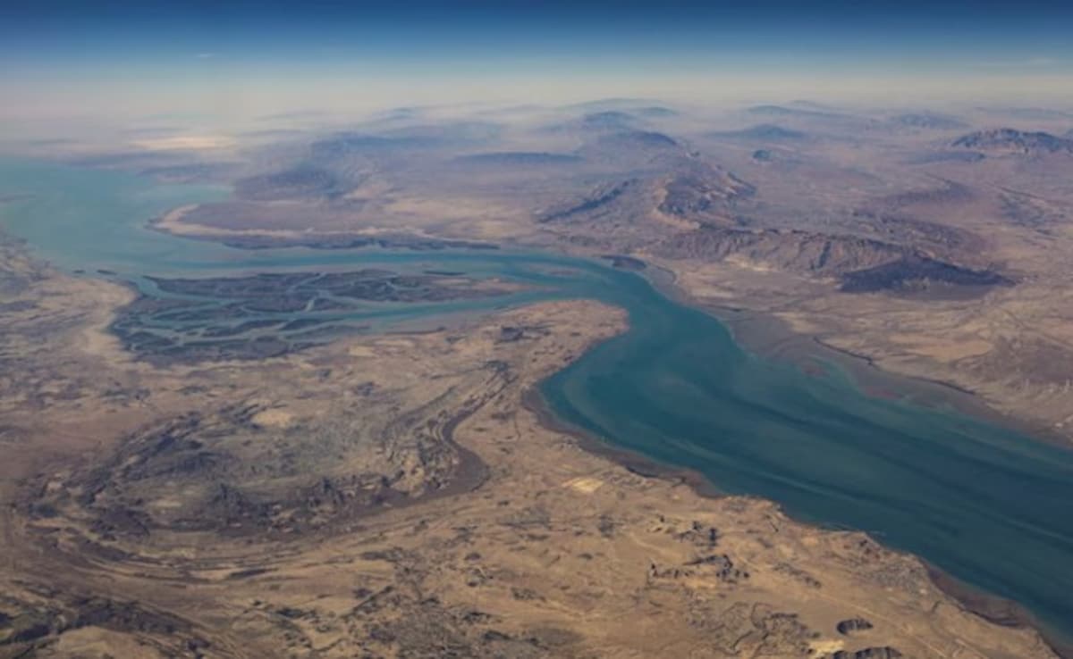 The Art of Baking: From Classic Bread to Artisan Pastries