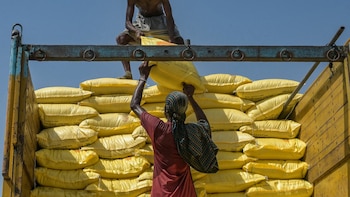 India Urea Producers Trim Output As Iran War Disrupts LNG Flows