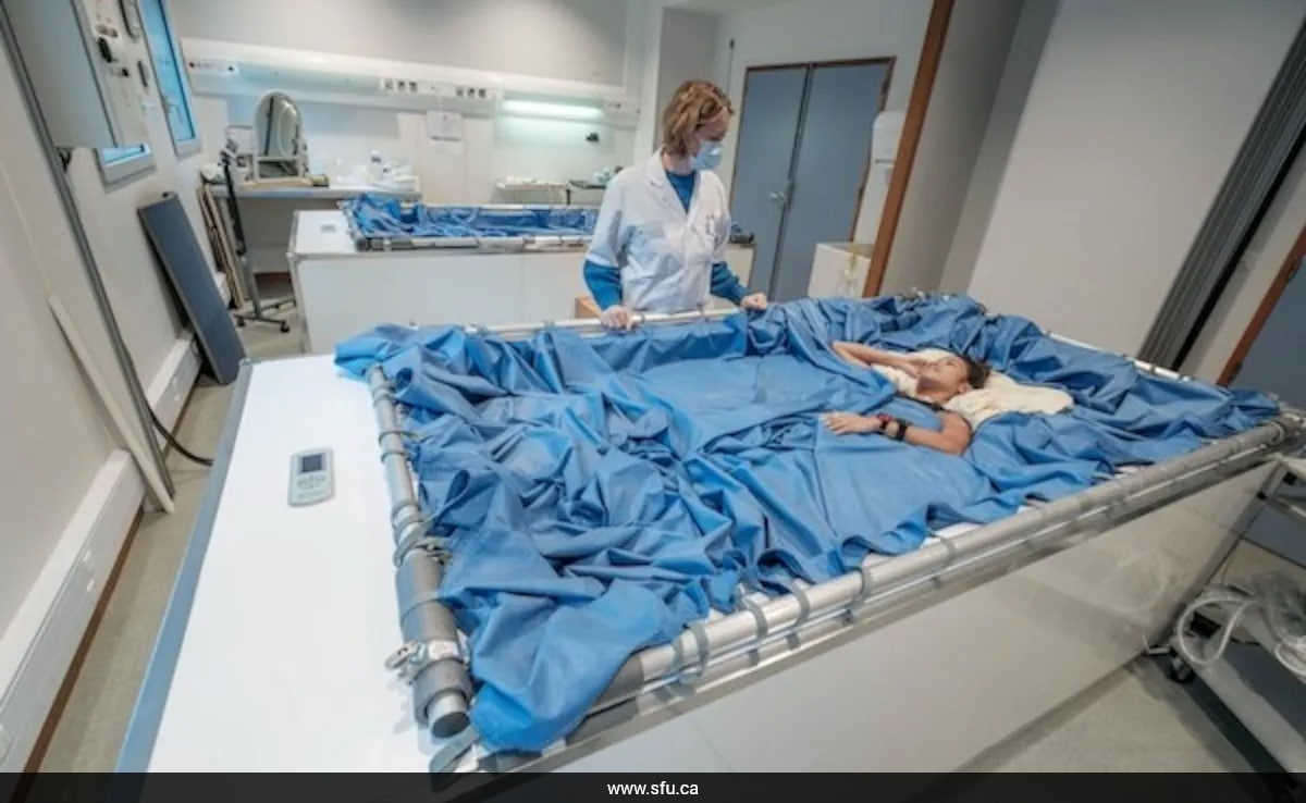 The Art of Baking: From Classic Bread to Artisan Pastries