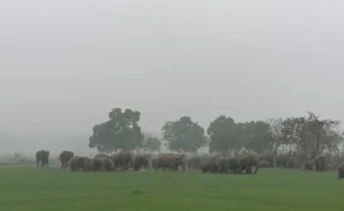 Latest and Breaking News on NDTV