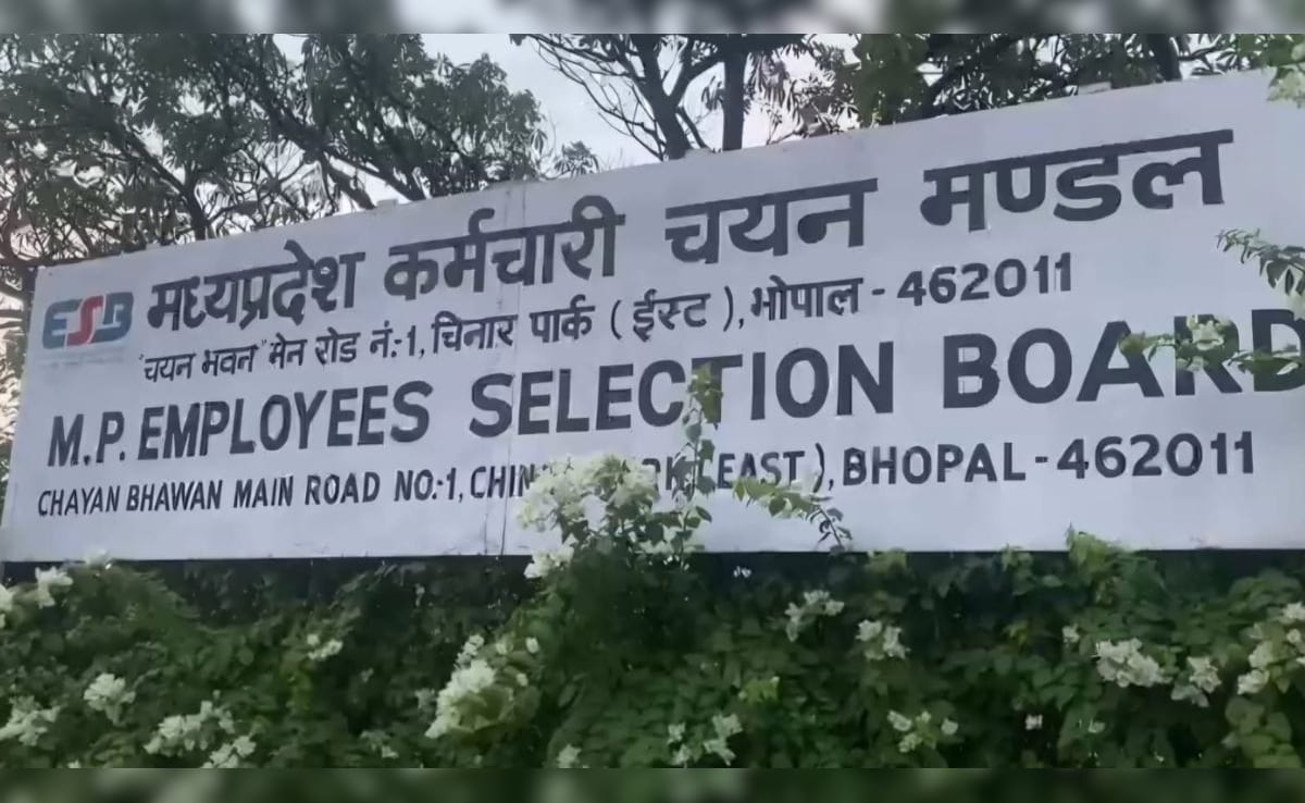 The Art of Baking: From Classic Bread to Artisan Pastries