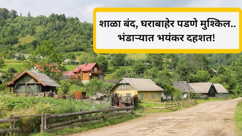 Bhandara News: पंधरा दिवसात 2 बळी, मुलांच्या शाळा बंद,  घराबाहेर पडणे मुश्किल.. भंडाऱ्यात काय घडतंय?
