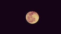 From Meteor Showers To Blue Moon: Rare Celestial Events This May