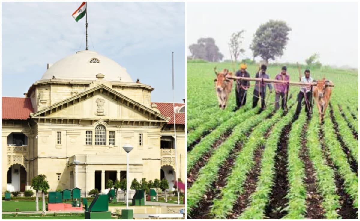 नोएडा जमीन अधिग्रहण केस में किसानों की 44 साल बाद बड़ी जीत, इलाहाबाद हाईकोर्ट ने बढ़ाया मुआवजा