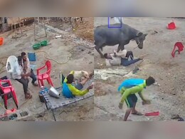 VIDEO: किसी की गर्दन दबोची, किसी का पैरा काटा, इंदौर में खूंखार कुत्ते का खतरनाक हमला